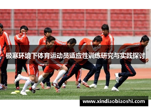 极寒环境下体育运动员适应性训练研究与实践探讨