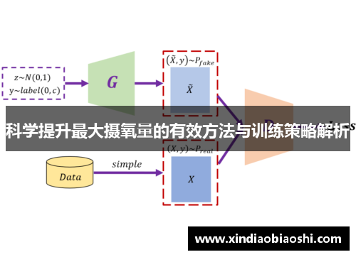 科学提升最大摄氧量的有效方法与训练策略解析