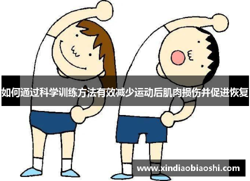 如何通过科学训练方法有效减少运动后肌肉损伤并促进恢复