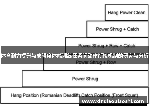 体育耐力提升与高强度体能训练任务间动作衔接机制的研究与分析